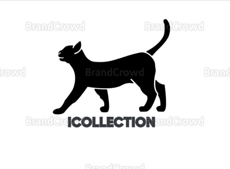 Input
